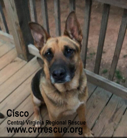 Cisco